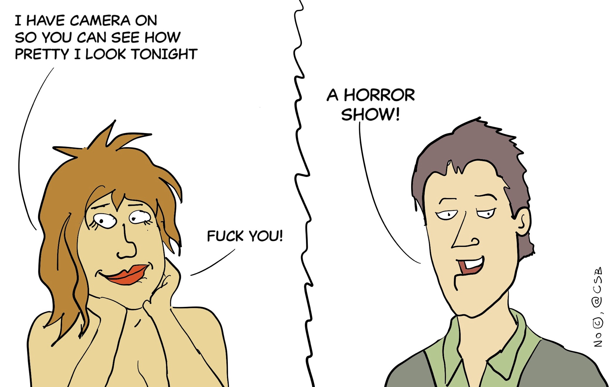 Blogger Comics The Brutal Truth of Video Calls – Comic Strip Blogger's cartoons and strips